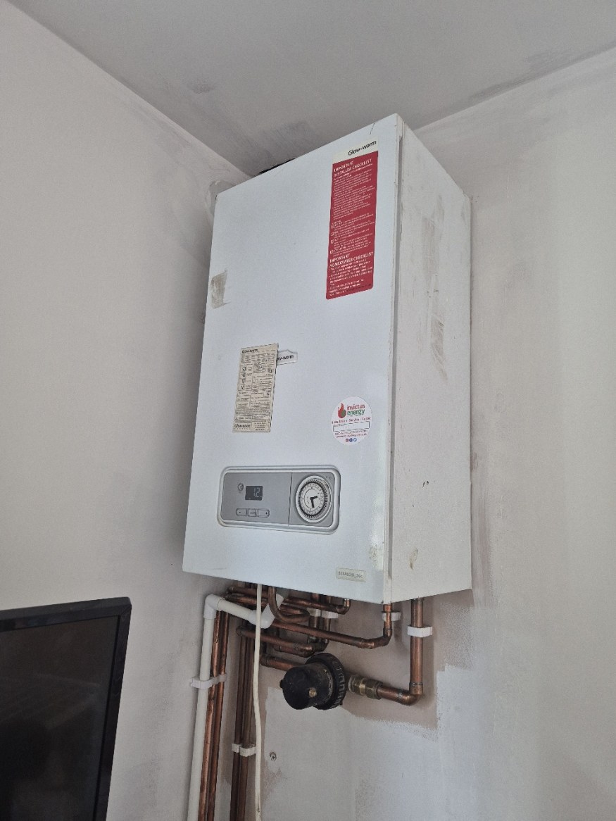 Domestic boiler and heating system
